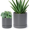 D'vine Dev 4.7 Inch & 6.5 Inch Ceramic Planter Pots