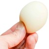 Magic Magic Egg, White Eggs, Pigeons, 2.4 inches (6 cm),