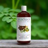 PUROLEO Moringa Oil 16 Fl Oz/473 ML (Packed In Canada)
