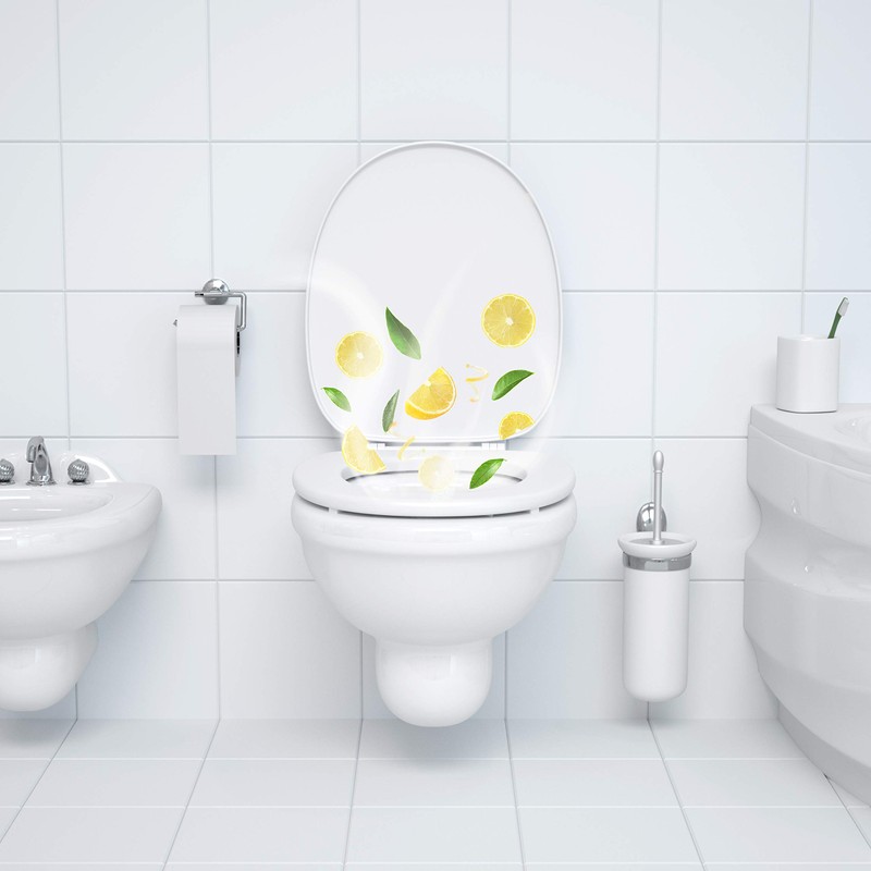 Domestos Toilet Stone Turquoise Rinse 53 g