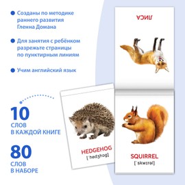 Russian English First Words Flash Cards, 8 pcs - Learn English Flash Cards of Doman - Learning English as Second Language - English Teaching Games