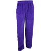 Sweatsedo Irwin Purple Velour Tracksuit (Large)