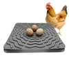 Washable Chicken Nesting Pads for Laying Eggs, 4Pcs Nesting Box