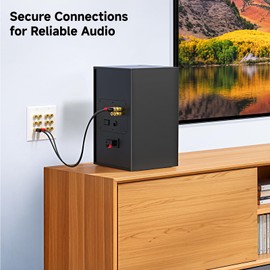 Cable Matters Double Gang Speaker Wire Wall Plate, Gold Plated Speaker Wall Plate with Banana Plug Binding Post for 6 Speakers, White