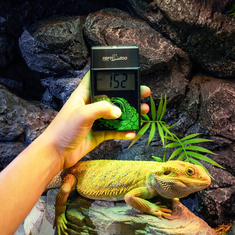 REPTI ZOO UVB Index Meter Handheld Reptile Lamp UV Detector,
