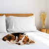 LuxClub Super King Fitted Sheet, with 45cm Deep Pocket Extra