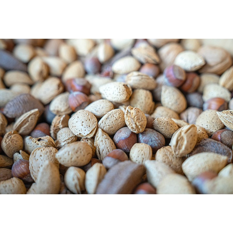 Iconikal Metal Body Wood Handle Plier Nutcracker, Black & Maple