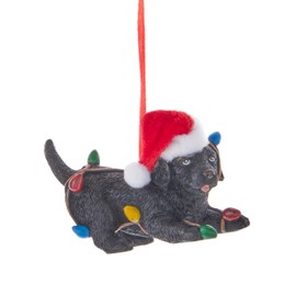 Kurt Adler Puppy with Santa Hat Ornament, Black Labrador