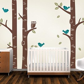 Birch Tree Wall Decal with Owl and Birds (Scheme B) - by Simple Shapes