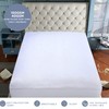 Caroline Shatuik Waterproof Cot Bed Mattress Protector 140 x 70cm,