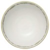 Noritake TT97890/4924-10 My Neighbor Totoro Rice Bowl, 9.2 fl oz