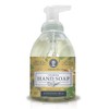 Nature's Oil Foaming Hand Soap, Honeysuckle, 10 Fluid Ounces (Single
