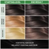 NOUGAT Mocha Natural Permanent Hair Color Kit,Dermatologically Tested, Ammonia &