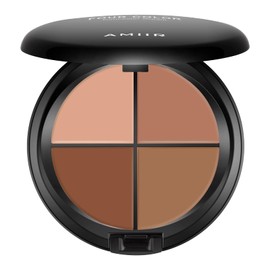 AMIIR Color Correcting Concealer Cream Full Coverage Face Contour Palette Long Lasting Flawless Professional Makeup Contouring Kit, Dark