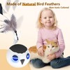 ORSDA 3 PCS Replacement Refills for Cat Ball Toys, Feather