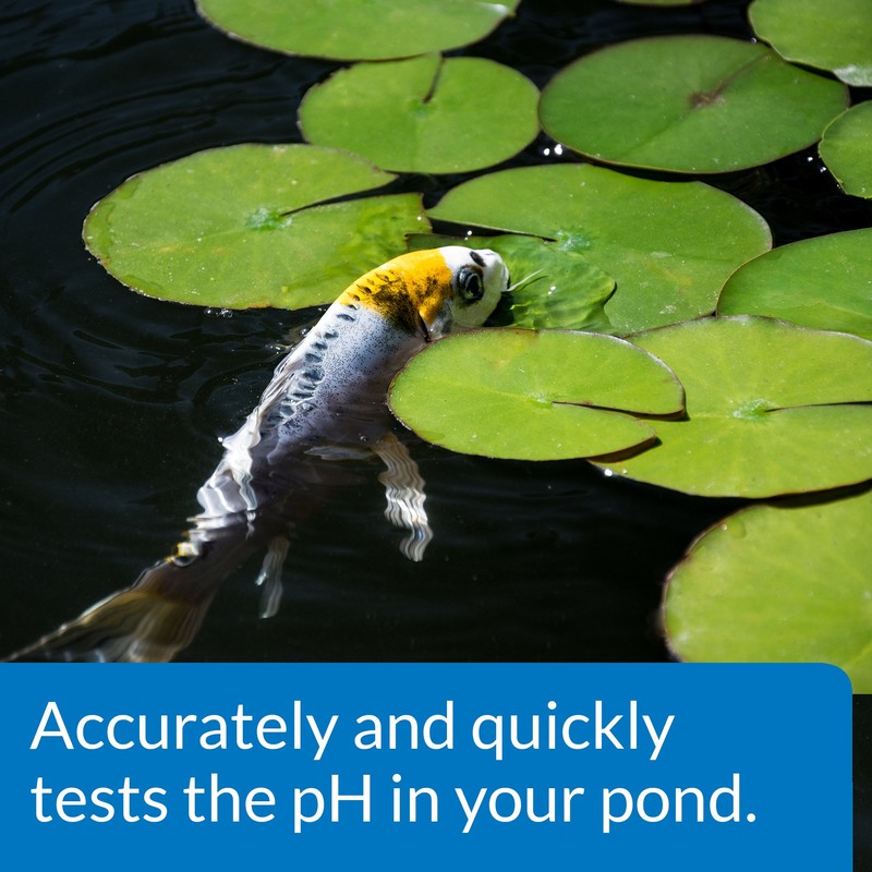API POND WIDE RANGE pH TEST KIT 160-Test Pond Water