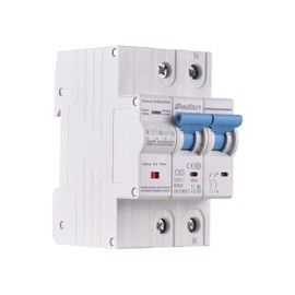 Swokely 2P Smart Circuit Breaker, 100A 220V WiFi Smart Energy Monitor Switch Meter, One-Click Switch, APP Remote Switch, Miniature Circuit Breakers, Remote Control with TY APP for Apartments