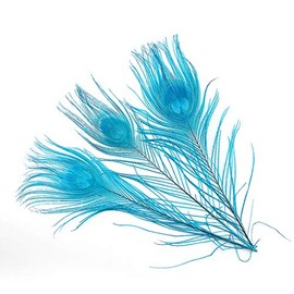 Shekyeon 10-12inch Dyeing Peacock Feathers Bleached Plume Wedding Table Centerpiece Pack of 10(Turquoise)