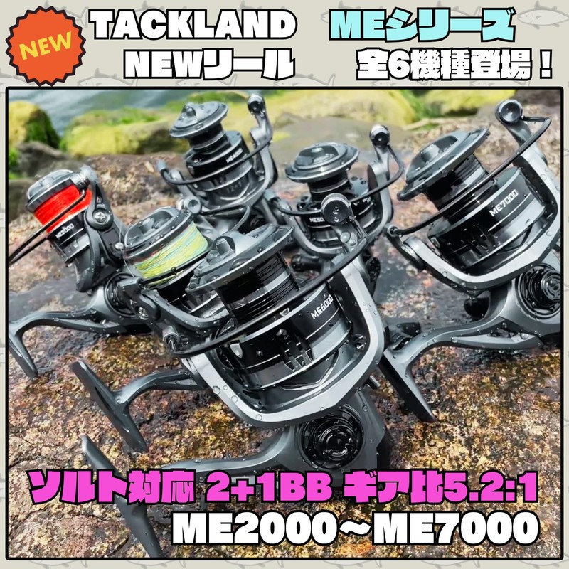 [TACKLAND] High Cost Spinning Reel, 2+1BB, Gear Ratio (5.2:1), Normal