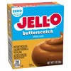 Jell-O Butterscotch Instant Pudding Sugar Free (Pack of 1)