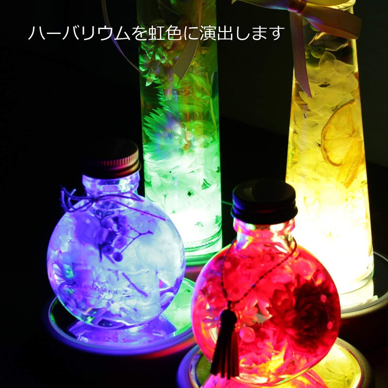 Herbarium Light Coaster LED Pedestal Axta Christmas Rainbow Display Stand