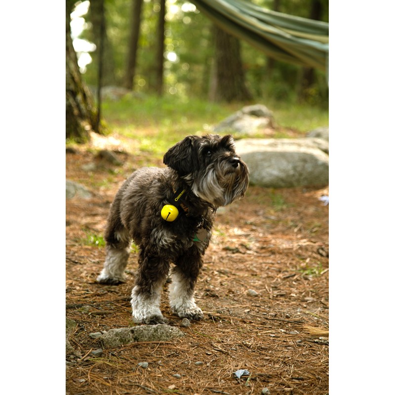 Coghlan's Magnetic Bear Bell with Silencer - Hiking Safety Gear