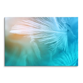 Paul Sinus Art Photo Canvas 90 x 60 cm Artistic Photography - White Feathers with Turquoise Background on Canvas Exclusive Wall Picture Modern Photography for Your Wall in Many Sizes