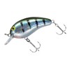 Daiwa Peanuts SR Weed Gill, 2.0 inches (50 mm)