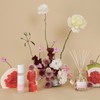 Palm Beach Collection Pomelo & Dewberry Room Mist 100ml