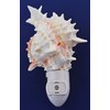 Seashell Night Light Real Pink Murex Shell Beach Decor w.