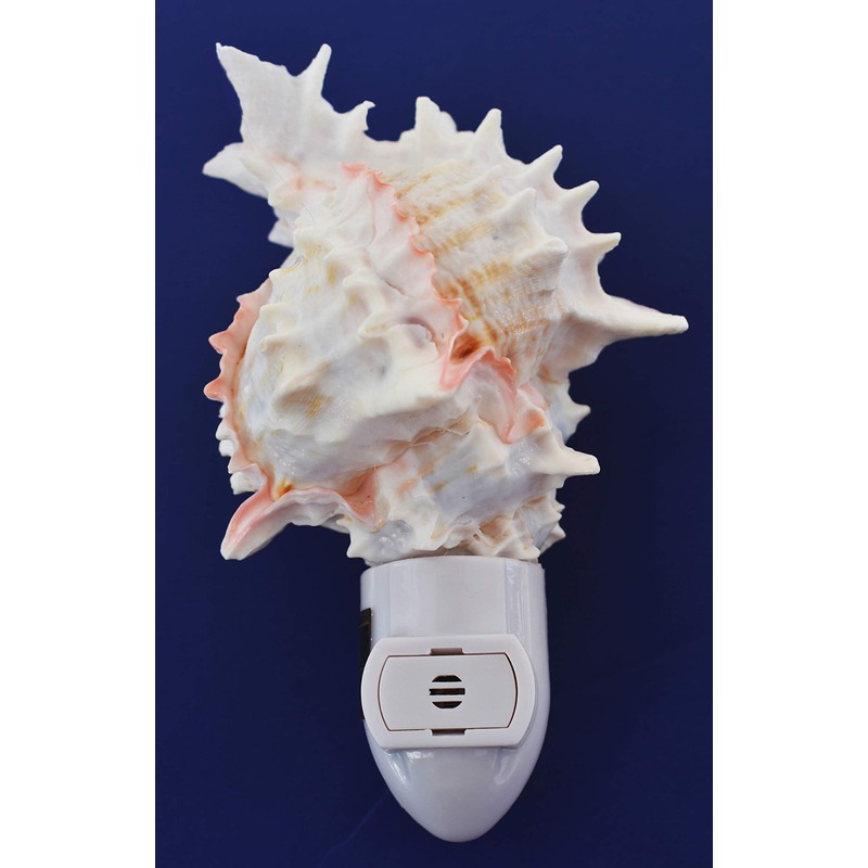 Seashell Night Light Real Pink Murex Shell Beach Decor w.