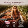 Gya Tea Co Berry Bliss Herbal Tea K Cups for