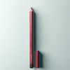 vein MAC Night Moss Lip Pencil 1.45g Black Plum, 1 piece / 맥 나이트 모스 립펜슬 1.45g 블랙 플럼, 1개