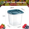 EFISH 10 pieces rectangular plastic portion box sets with lids.
