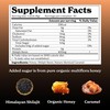 Better Alt Pure Himalayan Shilajit Caramel Honey Sticks with Organic
