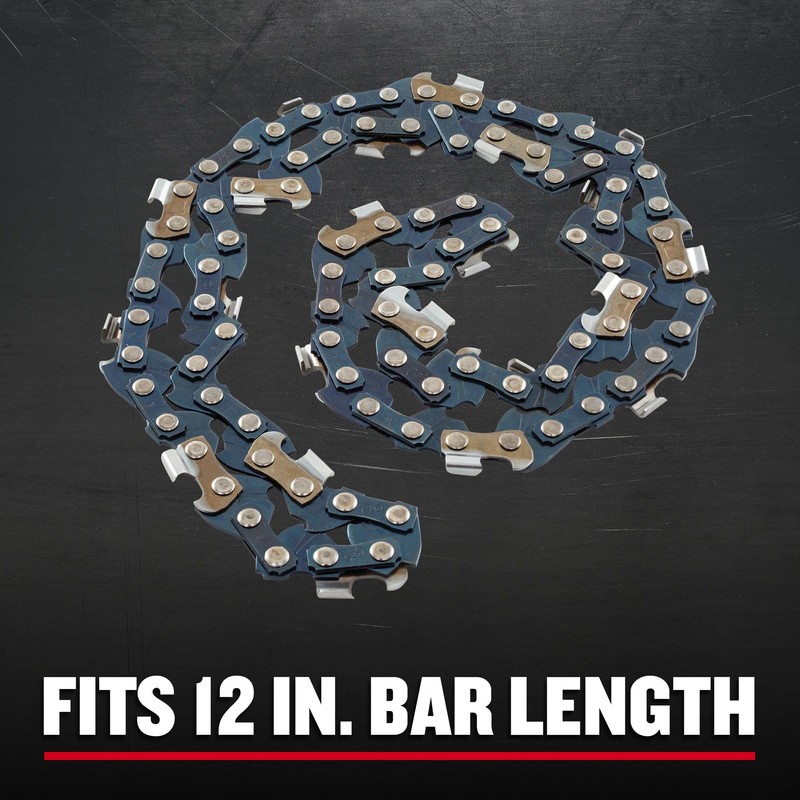 CRAFTSMAN 12 inch Chainsaw Chain, Replacement Chain for CMCCS620, CMCCS630