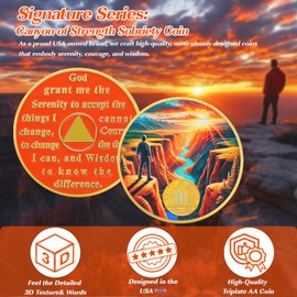 Canyon of Strength 2 Year Sobriety Coin, Affirmation AA Chips, Addiction Recovery Two Years Sober Medallions, Celebrating Anniversary Token, Alcoholics Anonymous Sobriety Gifts for Men Women