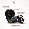 Bravose Armour Boxing Pads Focus Mitts Leather Round Curved Punching