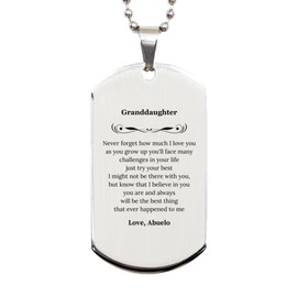 LANKEST Granddaughter Silver Dog Tag Never Forget How Much I Love You as You Grow up. Unique Engraved Gifts for her Birthday Christmas or Graduation to Show Love and Confidence