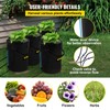 VEVOR DWC Hydroponic System, 5 Gallon 4 Buckets, Deep Water