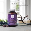New Nordic Blue Berry 60 Gummies