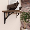 Shelf-Made Manhattan Decorative Shelf Bracket, Black, 8-inches