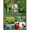 Pruning Shears 3-Pack Pruning Shears【2025 Popular Gardener Latest Recommendation】High Carbon