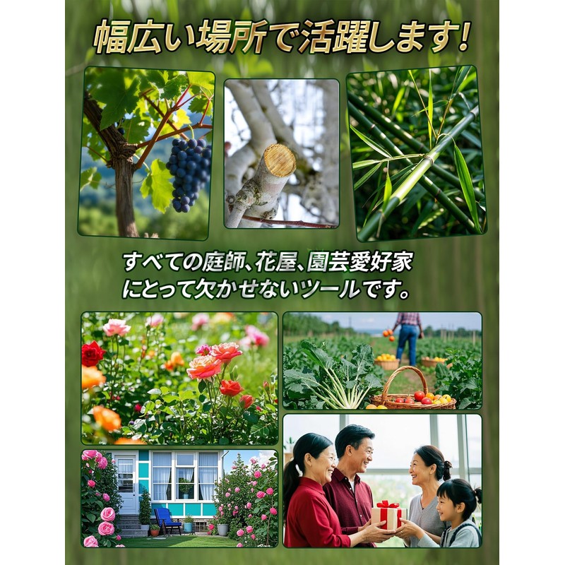 Pruning Shears 3-Pack Pruning Shears【2025 Popular Gardener Latest Recommendation】High Carbon