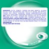 Mentos Pure Fresh Holiday Sugar-Free Chewing Gum with Xylitol, Spearmint,