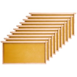Honey Lake Deep Beehive Frames and Foundations Kit, 10 Pack Brood Wooden Frames and Natural Beeswax Dipped Plastic Foundation for Beekeeping