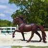 Safari Ltd. Tennessee Walking Horse Figurine - Lifelike 5.25" Model