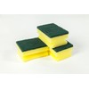 Spontex Salvaunghie X3 sanding sponge