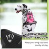 WINSEE Dog Harness No Pull, Pet Harnesses with Dog Collar,