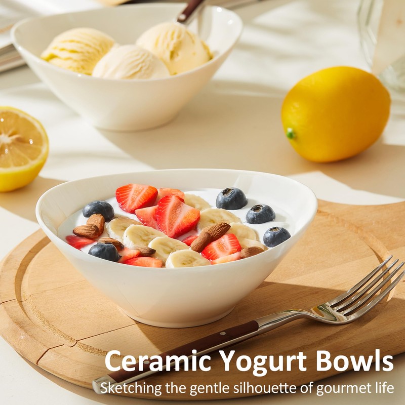 Teocera 6 Inch Ceramic Breakfast Bowls Set of 6, 10